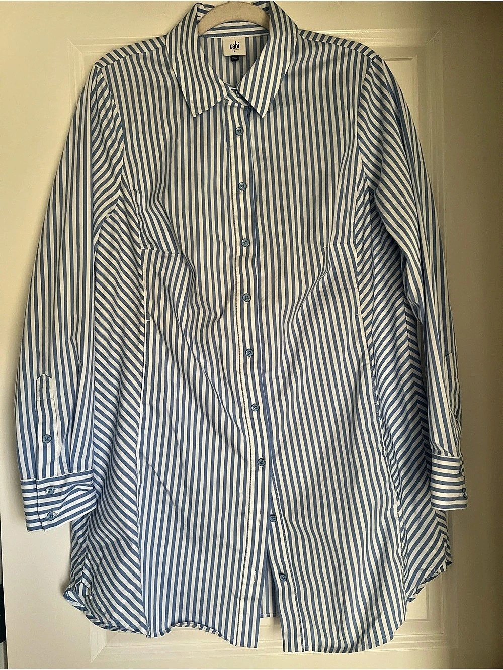 cabi Ocean Stripe Dress Up Shirt Striped Button Down Blue & White Large